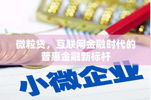 北投微粒贷，互联网金融时代的普惠金融新标杆
