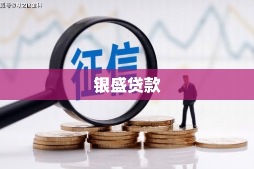 北投银盛贷款