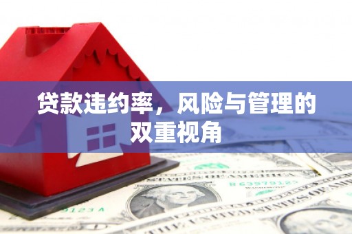 北投贷款违约率，风险与管理的双重视角