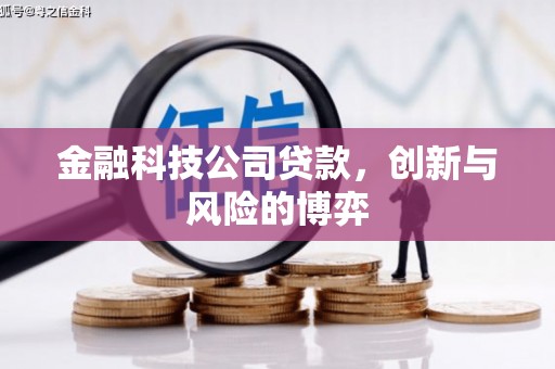 北投金融科技公司贷款，创新与风险的博弈