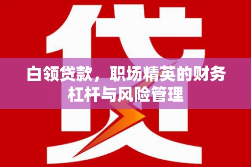 北投白领贷款，职场精英的财务杠杆与风险管理