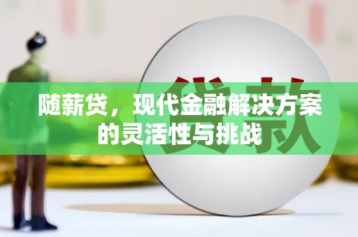北投随薪贷，现代金融解决方案的灵活性与挑战