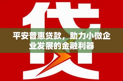 北投平安普惠贷款，助力小微企业发展的金融利器