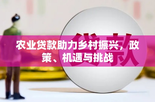 北投农业贷款助力乡村振兴，政策、机遇与挑战