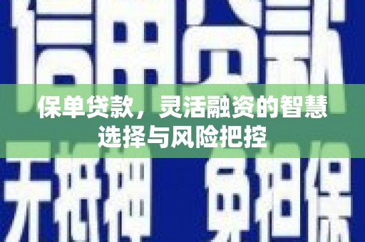 北投保单贷款，灵活融资的智慧选择与风险把控