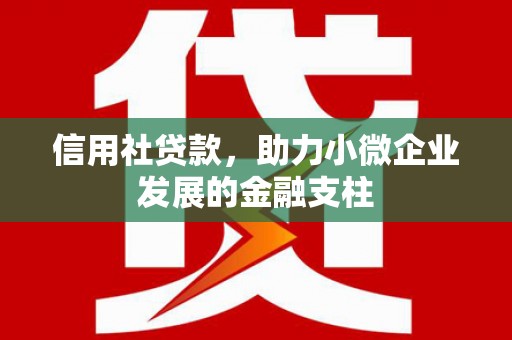 北投信用社贷款，助力小微企业发展的金融支柱