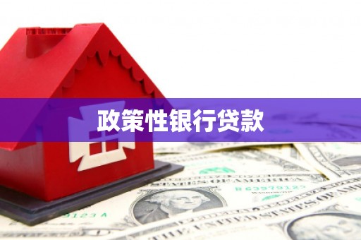 北投政策性银行贷款