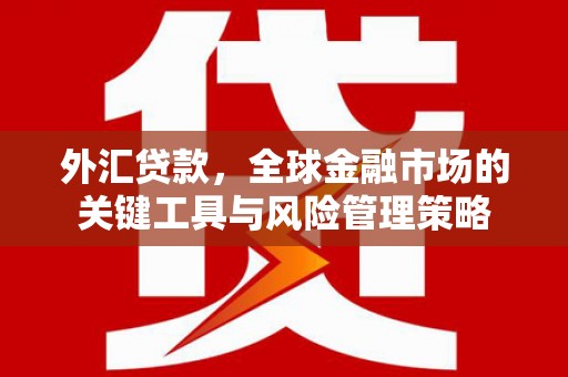北投外汇贷款，全球金融市场的关键工具与风险管理策略