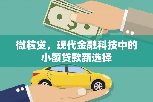 北投微粒贷，现代金融科技中的小额贷款新选择