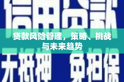 北投贷款风险管理，策略、挑战与未来趋势