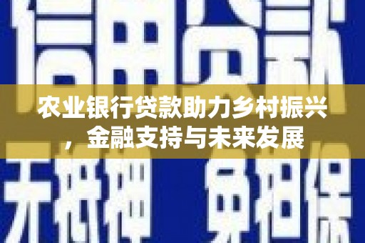北投农业银行贷款助力乡村振兴，金融支持与未来发展