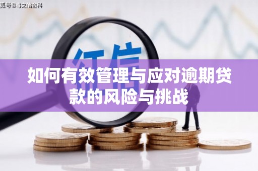北投如何有效管理与应对逾期贷款的风险与挑战