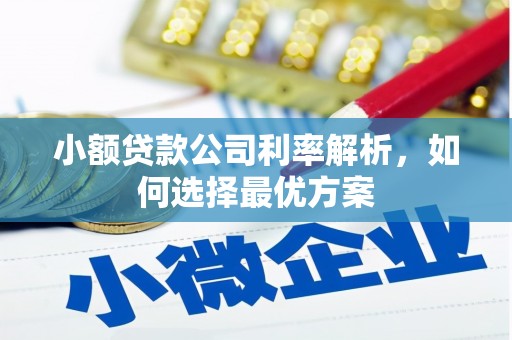 北投小额贷款公司利率解析，如何选择最优方案