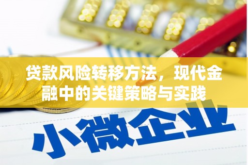 北投贷款风险转移方法，现代金融中的关键策略与实践