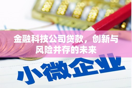 北投金融科技公司贷款，创新与风险并存的未来