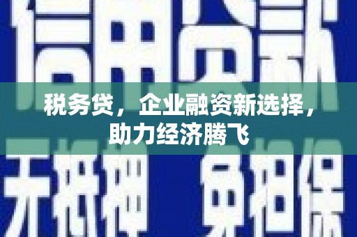 北投税务贷，企业融资新选择，助力经济腾飞