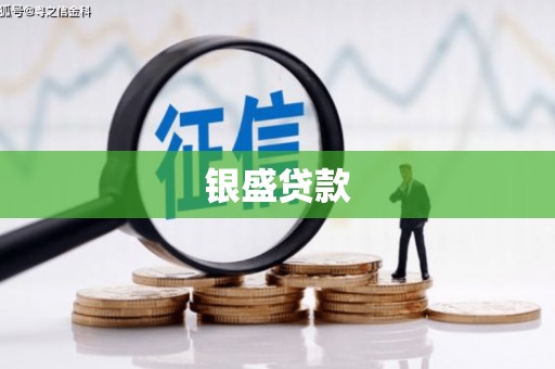 北投银盛贷款
