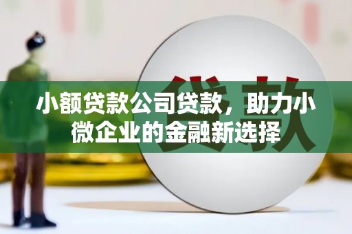 北投小额贷款公司贷款，助力小微企业的金融新选择