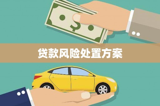 北投贷款风险处置方案