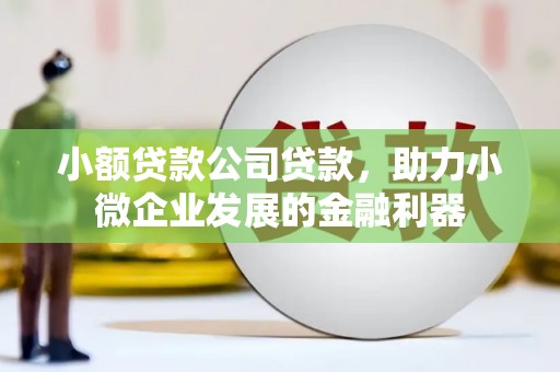 北投小额贷款公司贷款，助力小微企业发展的金融利器