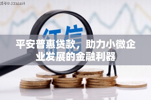 北投平安普惠贷款，助力小微企业发展的金融利器