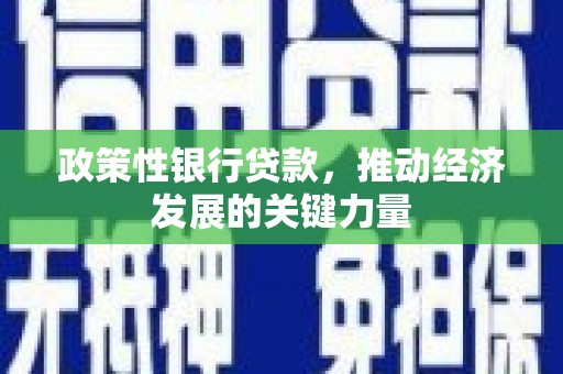北投政策性银行贷款，推动经济发展的关键力量