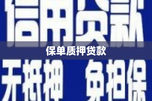 北投保单质押贷款