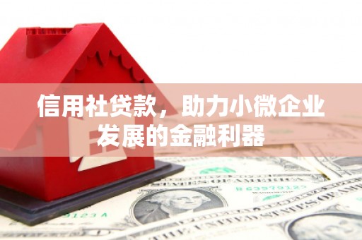 北投信用社贷款，助力小微企业发展的金融利器