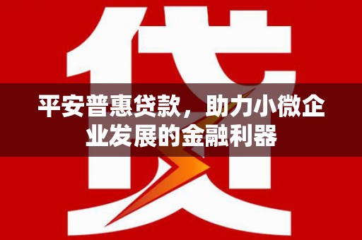 北投平安普惠贷款，助力小微企业发展的金融利器