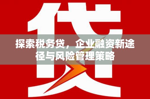 北投探索税务贷，企业融资新途径与风险管理策略