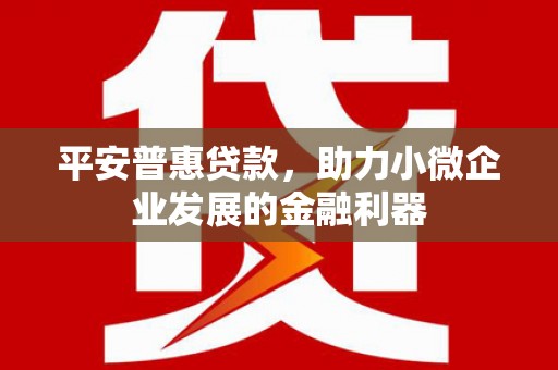 北投平安普惠贷款，助力小微企业发展的金融利器