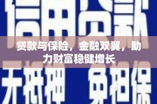 北投贷款与保险，金融双翼，助力财富稳健增长