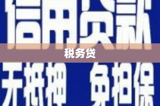 北投税务贷