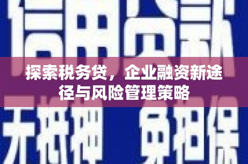 北投探索税务贷，企业融资新途径与风险管理策略