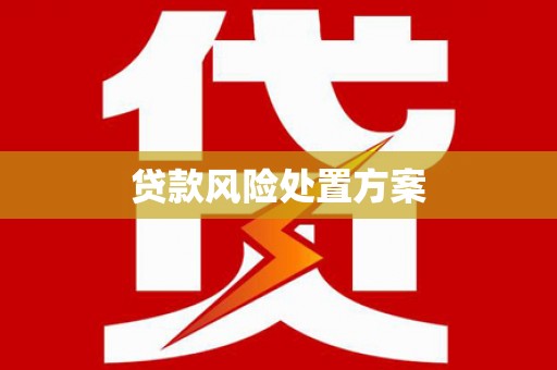 北投贷款风险处置方案