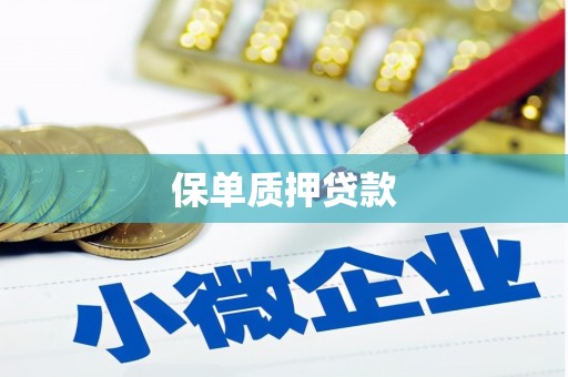 北投保单质押贷款