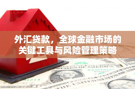 北投外汇贷款，全球金融市场的关键工具与风险管理策略