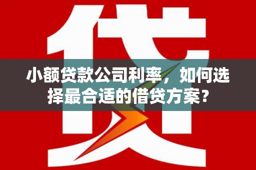 北投小额贷款公司利率，如何选择最合适的借贷方案？