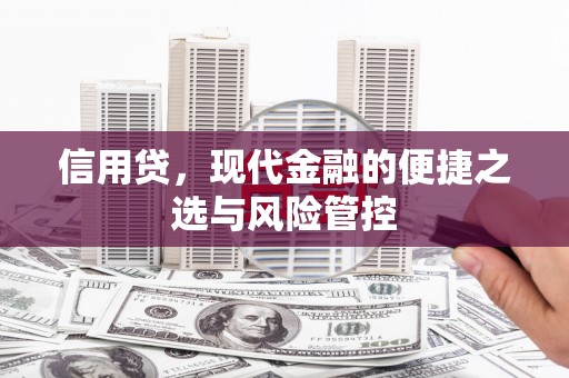 北投信用贷，现代金融的便捷之选与风险管控