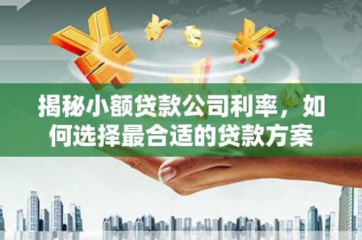 北投揭秘小额贷款公司利率，如何选择最合适的贷款方案