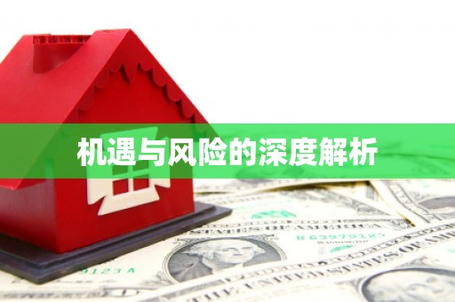 北投机遇与风险的深度解析