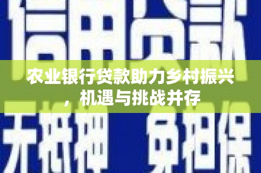 北投农业银行贷款助力乡村振兴，机遇与挑战并存