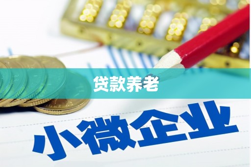 北投贷款养老
