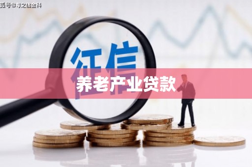 北投养老产业贷款