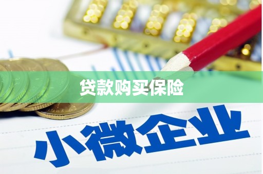 北投贷款购买保险