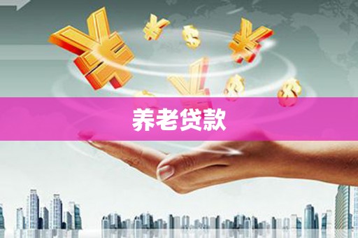 北投养老贷款