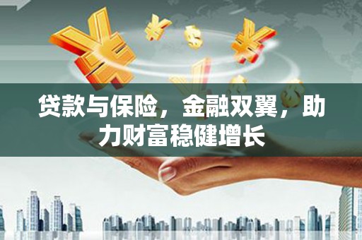 北投贷款与保险，金融双翼，助力财富稳健增长
