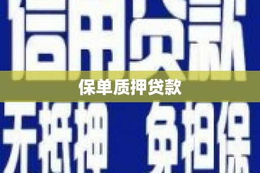 北投保单质押贷款