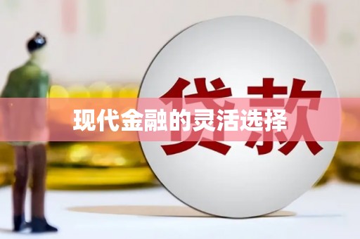 北投现代金融的灵活选择