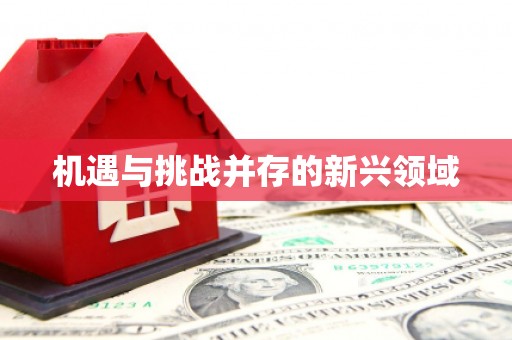 北投机遇与挑战并存的新兴领域